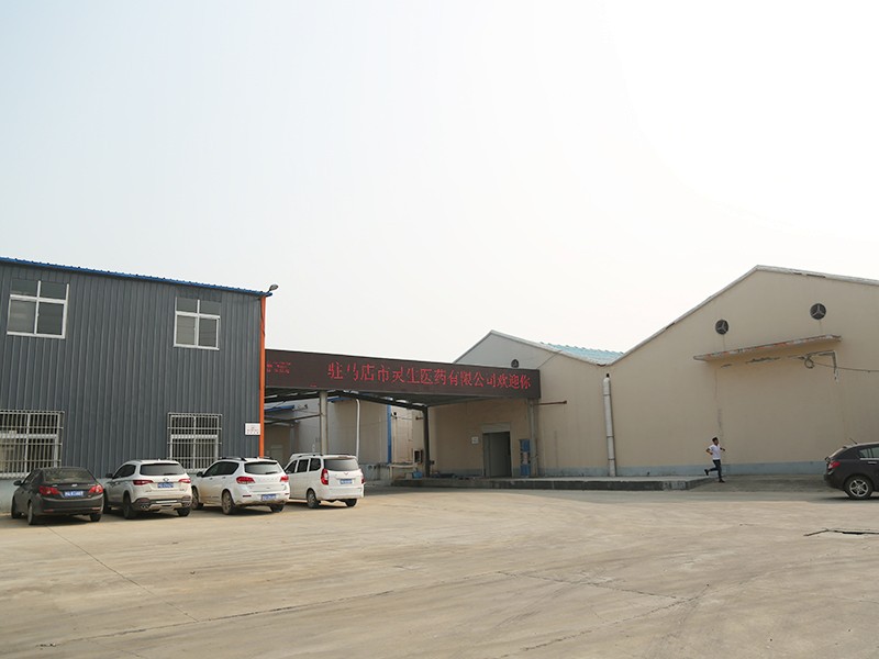 公司风貌