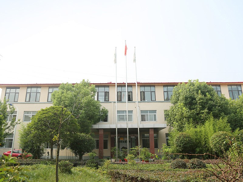 公司风貌